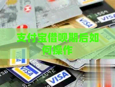 支付宝网贷期后如何操作