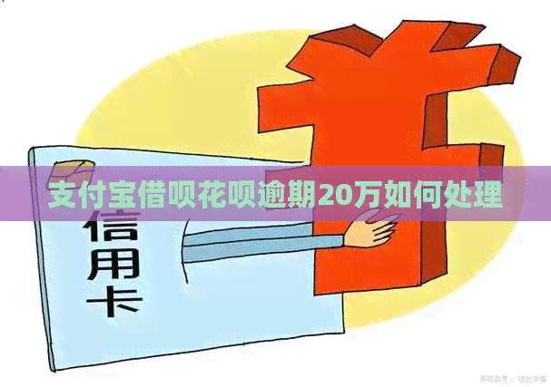 支付宝网贷信用卡逾期20万如何处理