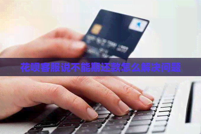 信用卡客服说不能期还款怎么解决问题