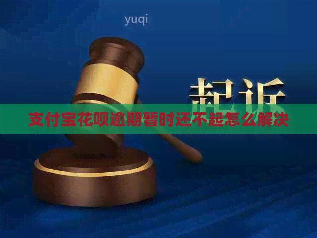 支付宝信用卡逾期暂时还不起怎么解决
