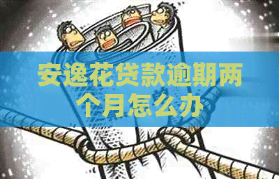 安逸花贷款逾期两个月怎么办 安逸花贷款逾期两个月怎么办