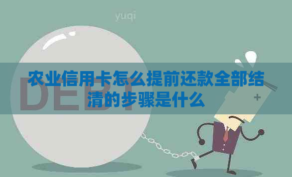 农业信用卡怎么提前还款全部结清的步骤是什么