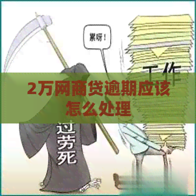 2万网贷逾期应该怎么处理
