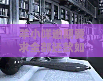 羊小咩逾期要求全部还款如何处理