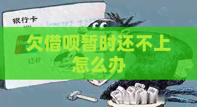 欠网贷暂时还不上怎么办