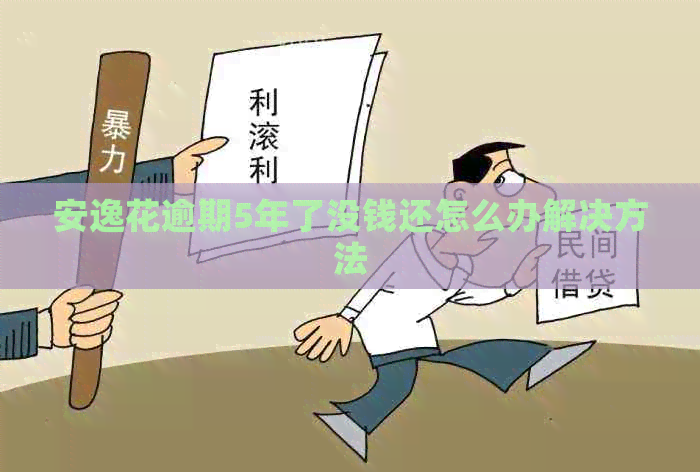 安逸花逾期5年了没钱还怎么办解决方法