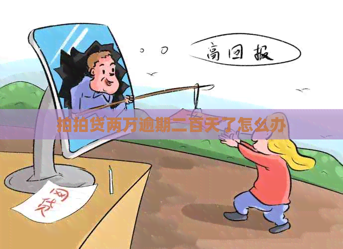 两万逾期二百天了怎么办