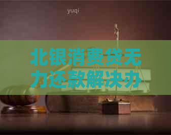 北银消费贷无力还款解决办法