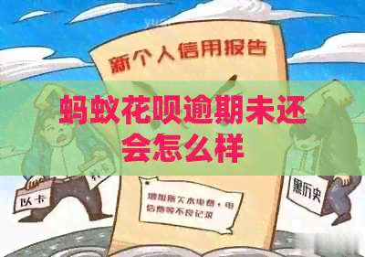 蚂蚁白条逾期未还会怎么样