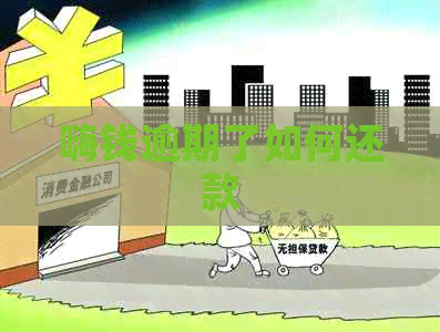 嗨钱逾期了如何还款