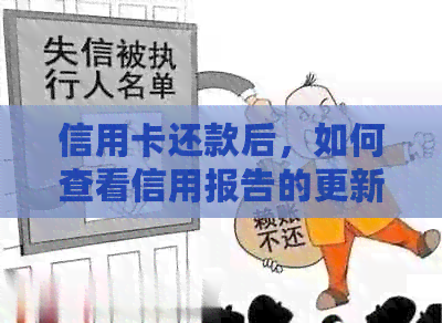 信用卡还款后，如何查看信用报告的更新时间？