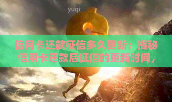 信用卡还款多久更新：揭秘信用卡还款后的更新时间，你真的了解吗？