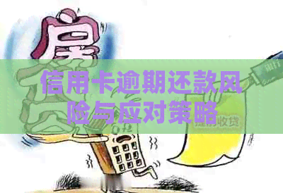 信用卡逾期还款风险与应对策略