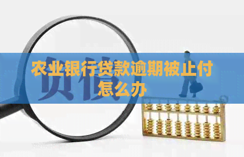 农业银行贷款逾期被止付怎么办 农业银行贷款逾期被止付怎么办