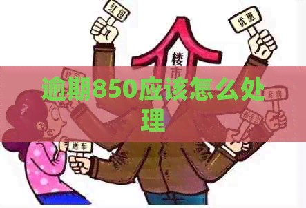 逾期850应该怎么处理