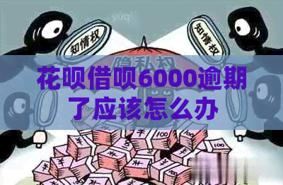 信用卡网贷6000逾期了应该怎么办