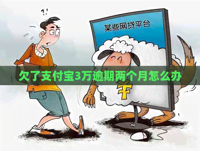 欠了信用卡3万逾期两个月怎么办