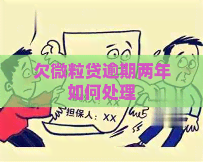 欠微粒贷逾期两年如何处理