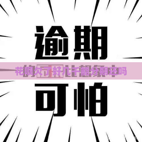 信用卡欠了好几千能分期还吗