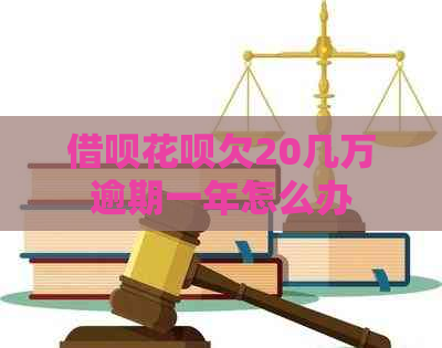 网贷信用卡欠20几万逾期一年怎么办