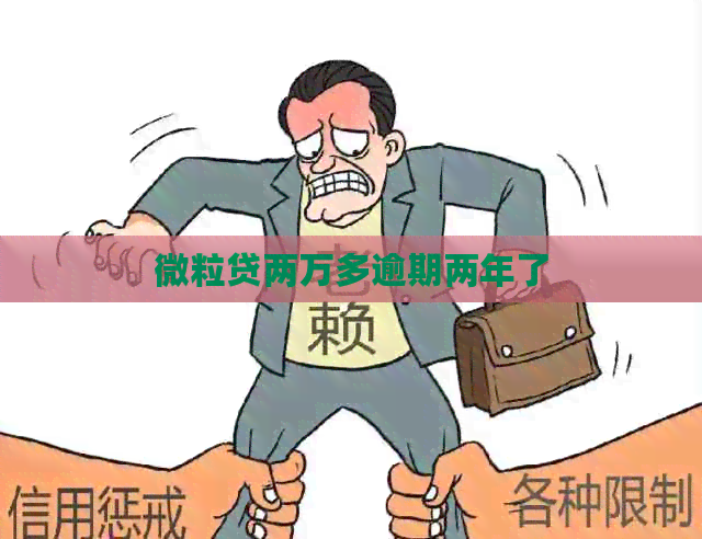 微粒贷两万多逾期两年了