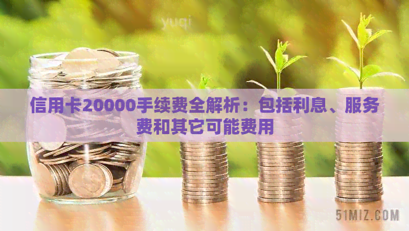 信用卡20000手续费全解析：包括利息、服务费和其它可能费用