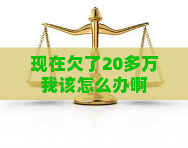 现在欠了20多万我该怎么办啊