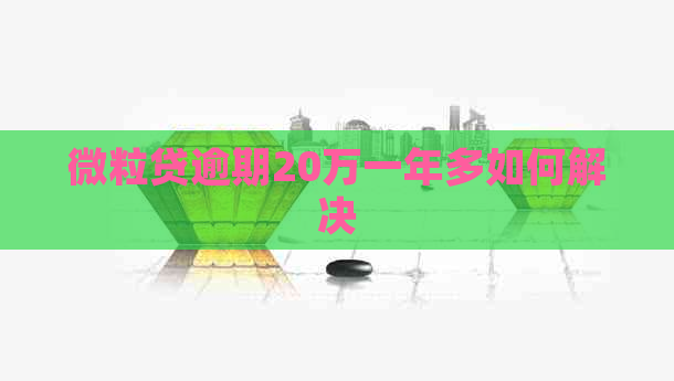 微粒贷逾期20万一年多如何解决
