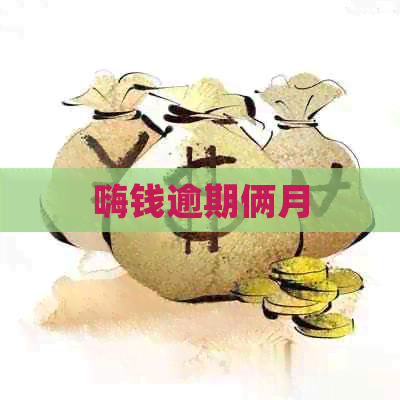 嗨钱逾期俩月