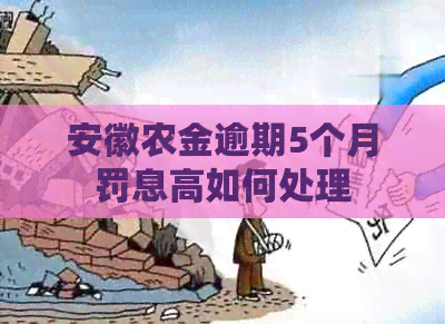 安徽农金逾期5个月罚息高如何处理