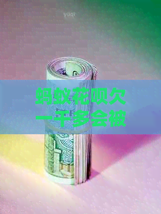 蚂蚁信用卡欠一千多会被起诉吗