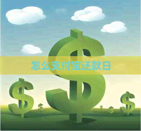 怎么信用卡还款日