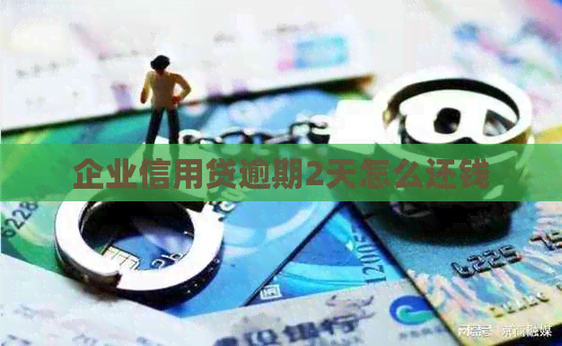 企业信用贷逾期2天怎么还钱