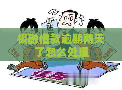 极融借款逾期两天了怎么处理