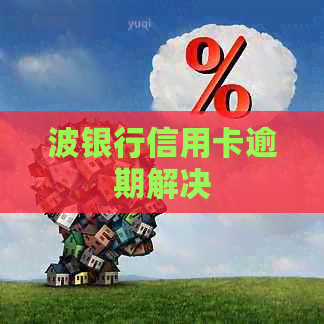 波银行信用卡逾期解决 波银行信用卡逾期解决