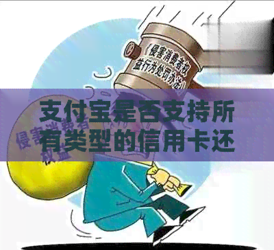 支付宝是否支持所有类型的信用卡还款？安全性如何保障？还有哪些注意事项？