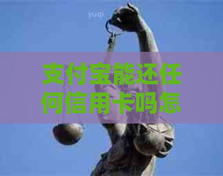 支付宝能还任何信用卡吗怎么还款？