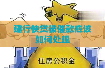 建行快贷被催款应该如何处理