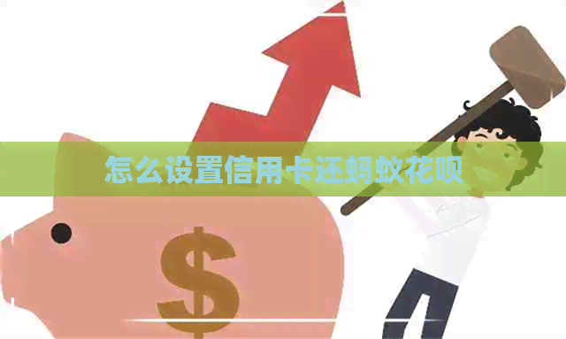 怎么设置信用卡还蚂蚁信用卡