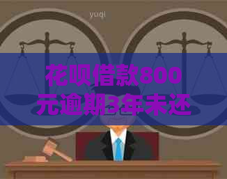 白条借款800元逾期3年未还