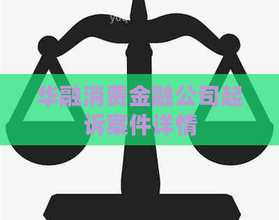 华融消费金融公司起诉案件详情