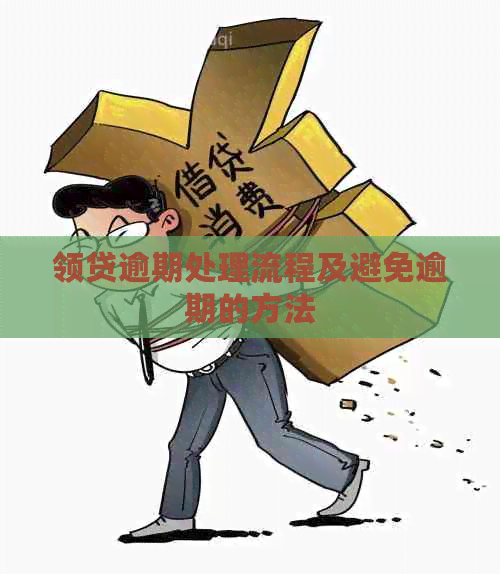 领贷逾期处理流程及避免逾期的方法