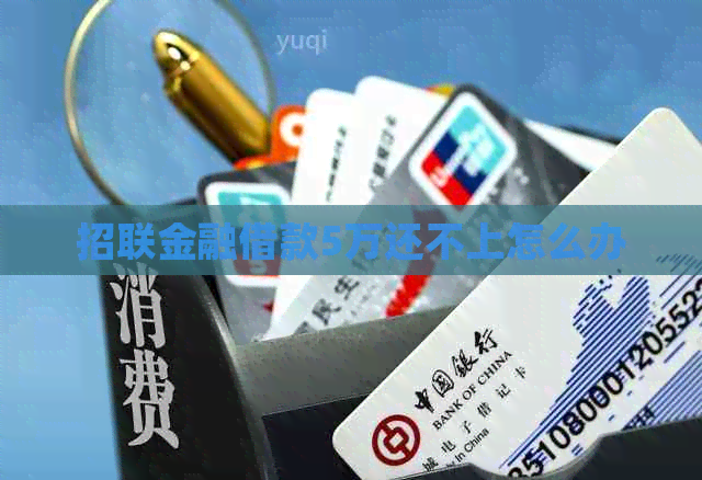 招联金融借款5万还不上怎么办
