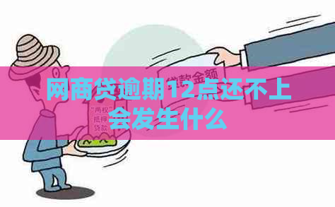 白条贷逾期12点还不上会发生什么
