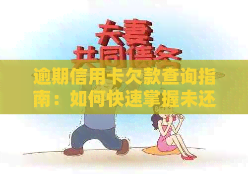 逾期信用卡欠款查询指南：如何快速掌握未还款金额？