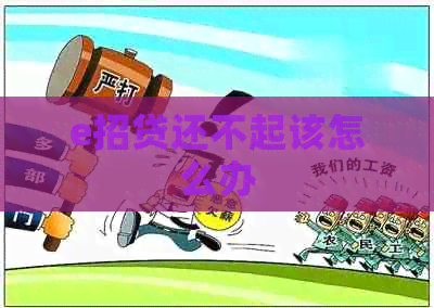 e招贷还不起该怎么办