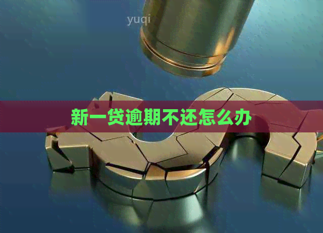 新一贷逾期不还怎么办