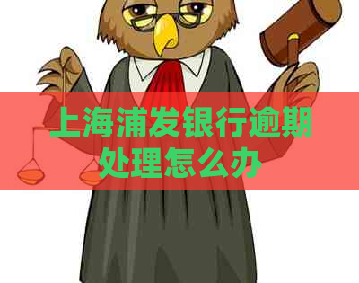上海浦发银行逾期处理怎么办
