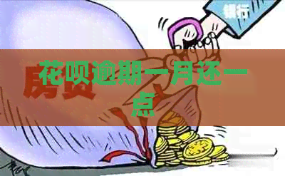 白条逾期一月还一点
