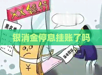 银消金停息挂账了吗